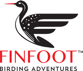 https://www.finfootbirdingadventures.com/